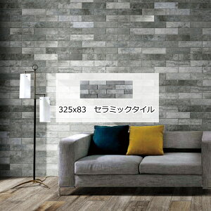 O Ǘp ςݐΕ ^C yCo[   rO  CeA GNXeA X ][g  325x83~ { LbX k jO 0.5kg/ Z~bN^C 펿