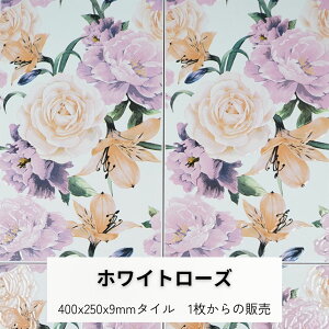 �G�^�C�� �z���C�g���[�Y �K�N �o�� 400x250x9�~�� ���� �^�C�� �����Ǘp ���� �؂₩�ȃf�U�C�� 1���P�ʂ̔̔� �G�L�]�`�b�N ��i�ȉƖ�