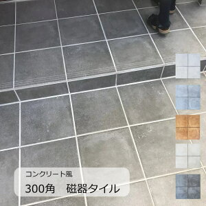  ^C 300p@RN[g@Vv_ ^ ~߁ihjhiɋjpEOpE~΁iEOA |[`Ex_EK[fjOEGg