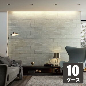 GRJbgvX @XbN 303×151p ECP-315/VSR1N ECP-315/VSR2N ECP-315/VSR3N zCg O[ AbVuE / ^C(1`10P[X) / LIXIL INAX [wґSɎgTL[N[|