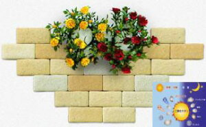 ySiP10{+5%OFFN[| 10/30`11/1zyʃK G}邩ubN MB-16 CG[ 30 pʃe[vt ybg qǂ AM[ ԕ L  V[ L ܂Ƃ Ǔ\ K