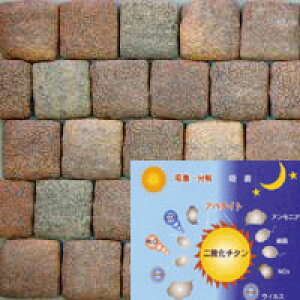 ySiP10{+30%OFFN[| 10/4`9zyʃK G}邩ubNSTCY MBH-3 _[NuE 60 pʃe[vt ybg ԕ L  V[ L ܂Ƃ Ǔ\ Ku