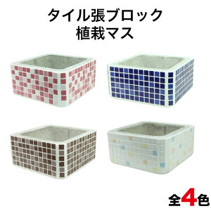 ySiP10{+5%OFFN[| 10/30`11/1z^CubN A̓}X