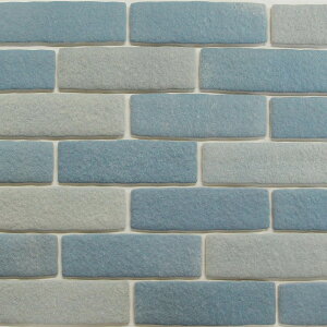 ySiP10{+5%OFFN[| 10/30`11/1zi ^C y K 邩ubNLTCY 115 wk-bb-111-20240909 ڒ܁Eʃe[v͕tĂ܂B TCY21.5×6.5×1.2cm