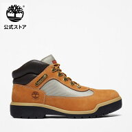 【公式】ウォータープルーフ フィールド ブーツ メンズ（防水） ティンバーランド Timberland