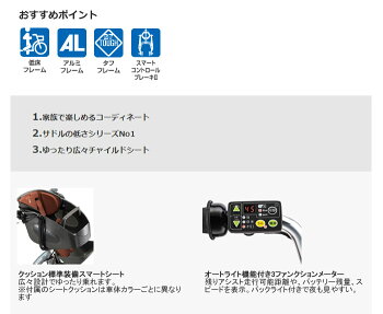 【前後クッション付】前後シート付ビッケポーラーeBR0C492019年モデルブリヂストン電動自転車子供乗せ3人乗り自転車三人乗り20インチbikke子供乗せ電動自転車前後ろ子供乗せ取付可
