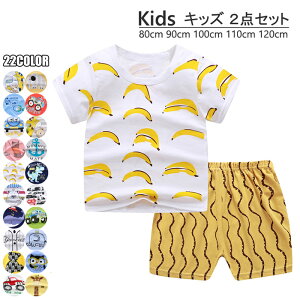 2_Zbg TVc V[gpc  in tĐVi q  gbvX ZbgAbv j̎q̎q LbY q  2_Zbg  TVc pc ㉺Zbg q 2_