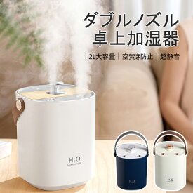 加湿器 卓上 ダブルミスト 超音波加湿器 USB充電 スチーム 加湿 超微細ミスト オフィス 大容量1.2L 上から給水 スチーム 2吹出し口 加湿器 おしゃれ ナイトライト機能付き 空焚き防止 デスク/オフィス/寝室/会社/家庭用 乾燥対策 加湿器 静音 送料無料