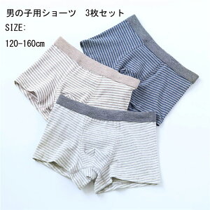  {[_[ nVv j̎q V[c pc   3Zbg LbYpc q  LbY WjA q  qǂ ǂ A_[EFA[ ʉ  ۈ牀 