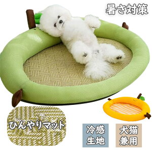 ėp L ybg xbh Ђ}bg ybgpi NbV  ⊴ p}bg ې _炩 Ђ }bg Lp ^ ^ ybgxbh NbV Lxbh  ϊ 