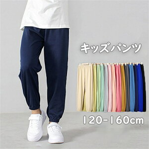 q Y{ Y{  pc LbY q ǂ WK[pc T}[pc  Rbg100 100 S Y{ j̎q ̎q jp jZbNX ʋCz EGXgS L