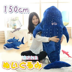 150cm ʂ T  ~  ޏ l LbY qǂ ӂӂŖ 킢 WxCU q a LO  l炵 v[g Mtg oYj