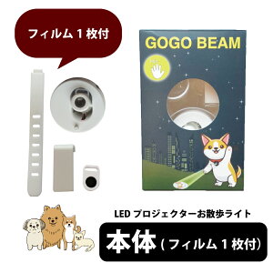     vWFN^[ Cg UCg ǉtB ̊ ʐ^  IWi I[_[[h U  IWi ^ ^ ^ ybg L LED [d S 