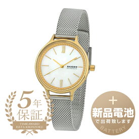 【新品電池で安心出荷】 スカーゲン アニータ 腕時計 SKAGEN ANITA SKW2866 ホワイト レディース ブランド 時計 新品