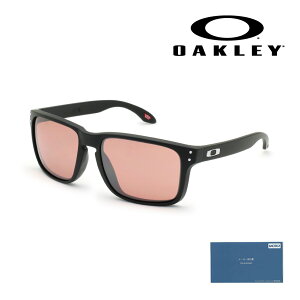 yKizI[N[ TOX OO9487F-0461 HOLBROOK XXL AWAtBbg UVJbgyikCE͔zsjz