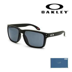 yKizI[N[ TOX OO9487F-0161 HOLBROOK XXL AWAtBbg UVJbgyikCE͔zsjz