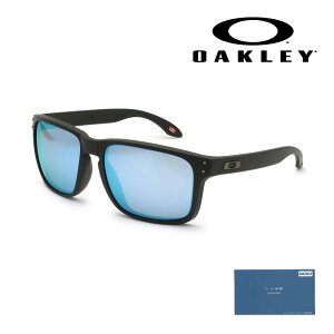 yKizI[N[ TOX OO9487F-0661 HOLBROOK XXL AWAtBbg UVJbg ΌYyikCE͔zsjz