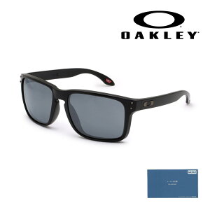 yKizI[N[ TOX OO9487F-0261 HOLBROOK XXL AWAtBbg UVJbgyikCE1,000~jz