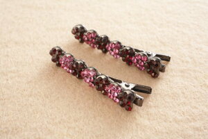 yMtgEv[gɁIzwAANZT[Er[Y~jNbvi2gjԁErEJI[vi[Xgbvv[gIr[Y~jwANbv