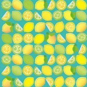  T[NV[ x[VbN &Ct[c ی^ tbV 킢 |bv /