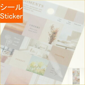 MINDWAVE }ChEFCu V[ E [cXebJ[ 81303 x[Wg[ V[    Ao fR[V n[g jAXJ[ ʐ^V[ XPW[ 