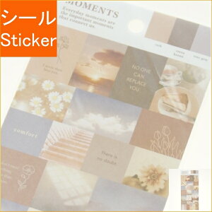 MINDWAVE }ChEFCu V[ E [cXebJ[ 81305 uEg[ V[    Ao fR[V n[g jAXJ[ ʐ^V[ XPW[ 