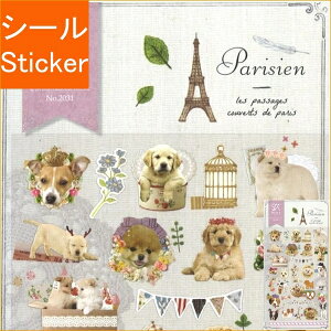 S&C Corporation S&CR[|[V V[ E Sua+elie rparisien  DOG V[    Ao fR[V n[g  XebJ[ X}z ق  킢 XPW[ 