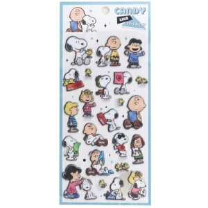 KAMIO JAPAN J~IWp V[ E LfB[CNXebJ[Y Xk[s[ LN^[ ՂV[ V[ fR XPW[ 蒠̃^CL[p[