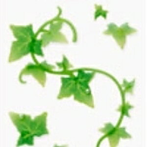 MIDORI fUCtBE~h V[ E PC V[ 3120 ACr[ V[    Ao fR[V n[g  XebJ[ X}z ق  킢 XPW[ 