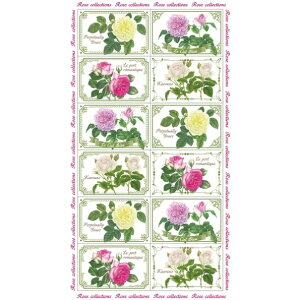 FRONTIA teBA V[ E NVbN[Y O[g V[    Ao fR[V n[g  XebJ[ X}z ق  킢XPW[ 蒠