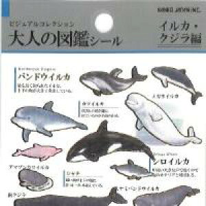 PM l̐}ӃV[ CJ NW | ʕ  C̐  n ׋ wKV[