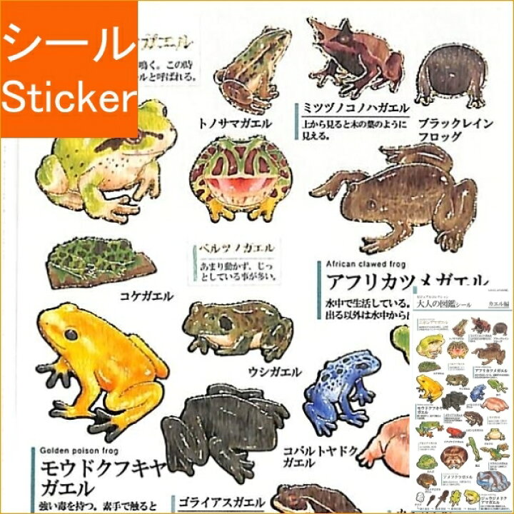 楽天市場 Kamio Japan ｶﾐｵｼﾞｬﾊﾟﾝ ｼｰﾙ Pm大人の図鑑ｼｰﾙ ｶｴﾙ ｼｰﾙ帳 福袋 ｽｹｼﾞｭｰﾙ ﾃﾞｺ ｽﾃｯｶｰ ﾀﾞｲｱﾘｰ 動物 ｱﾆﾏﾙ ｷｬﾗｸﾀｰ ｼｰﾙ ｽｹｼﾞｭｰﾙ帳 手帳のﾀｲﾑｷｰﾊﾟｰ 手帳のタイムキーパー