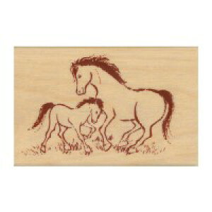 ǂ̂ ǂ̂ j[C[X^v@̔neq@11295005 |