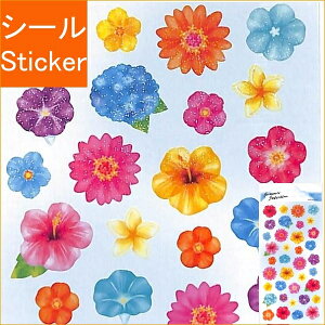 MINDWAVE }ChEFCu V[ E T}[ZNV 79629 NAz icmni Ẳ V[    Ao fR[V n[g  XebJ[ X}z ق  