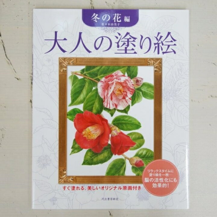 楽天市場 Kawade 河出書房新社 塗り絵 大人の塗り絵 冬の花編 ぬりえ ぬり絵 介護 ディズニー 鳥 花 風景 ふるさと スケジュール帳 手帳のタイムキーパー 手帳のタイムキーパー