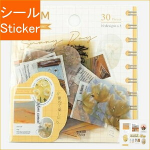 BGM r[W[G V[ E ~bNXV[ ʐ^ CG[ V[    Ao fR[V n[g  XebJ[ X}z ق  킢 XPW[ 蒠