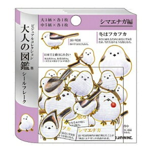 KAMIO JAPAN J~IWp V[ E l̐}ӃV[t[N V}GiK V[    Ao fR[V n[g  XebJ[ X}z ق  킢 XPW