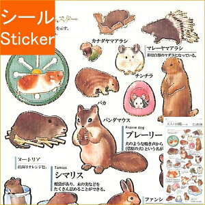 KAMIO JAPAN J~IWp V[ E PMl̐}ӃV[  V[    Ao fR[V n[g  XebJ[ X}z ق  킢 XPW[ 