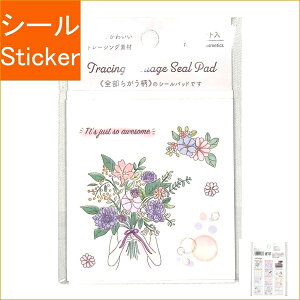 PINEBOOK pCubN V[ E g[VO V[pbh t[&RX V[    Ao fR[V n[g  XebJ[ X}z ق  킢 XP