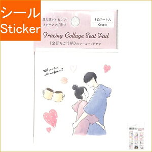 PINEBOOK pCubN V[ E g[VO V[pbh Jbv V[    Ao fR[V n[g  XebJ[ X}z ق  킢 XPW[