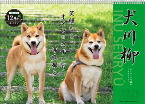 APJ A[gvgWp 2026 1n܂ J_[ H257×W364 CL 017 Ǌ| J_[ B4   O  fUC  l킢 Vv XPW[ 蒠̃^CL[p