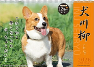 APJ A[gvgWp 2026 1n܂ J_[ H257×W364 CL 020 Ǌ| J_[ B4 O R[M[   fUC  l킢 Vv XPW[ 蒠̃^CL