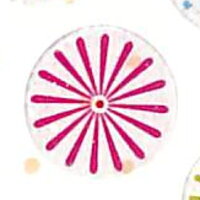 楽天市場 S C Corporation S Cｺｰﾎﾟﾚｰｼｮﾝ ｼｰﾙ Rcm144 花火 ｼｰﾙ帳 福袋 丸 おしゃれ ｱﾙﾊﾞﾑ ﾃﾞｺﾚｰｼｮﾝ ﾊｰﾄ 大量 ｽﾃｯｶｰ ｽﾏﾎ ごほうび 花 かわいい ｽｹｼﾞｭｰﾙ帳 手帳のﾀｲﾑｷｰﾊﾟｰ 手帳のタイムキーパー