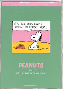 SUN-STAR TX^[ m[g E A6PNCSXk[s[ XPW[ 蒠̃^CL[p[