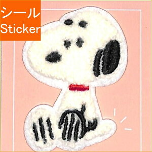 KAMIO JAPAN J~IWp@PMbyfRV[/Xk[s[ V[  XPW[ fR@XebJ[ _CA[ XPW[ 蒠̃^CL[p[@LN^[@킢