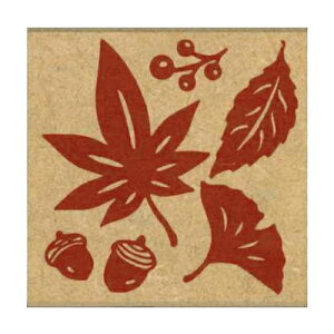 KODOMONOKAO ǂ̂ X^v E g͂  gt 0527-008 X^v CN 킢 LN^[ 蒠 CXg 6mm 5 3 قуX^v  搶 XPW[ 蒠̃^C