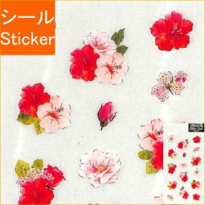 CLOTHES-PIN N[Ys V[ E NA V[ nCrXJX V[ V[g &sN V[    Ao fR[V n[g  XebJ[ X}z ق  