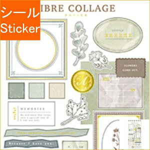 MINDWAVE }ChEFCu V[ E [uR[WpsG 81554 O[ V[    Ao fR[V n[g  XebJ[ X}z ق  킢 XP