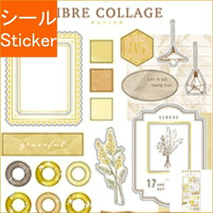 MINDWAVE }ChEFCu V[ E [uR[WpsG 81558 CG[ V[    Ao fR[V n[g  XebJ[ X}z ق  킢 XP