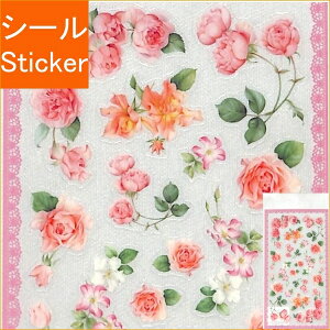 FRONTIA teBA V[ E sN [Y V[    Ao fR[V n[g  XebJ[ X}z ق  킢 XPW[ 蒠̃^CL[p